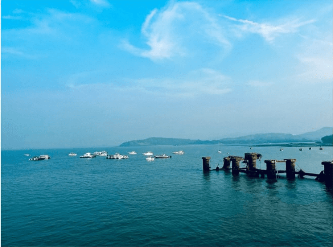 Harbor of Dreams